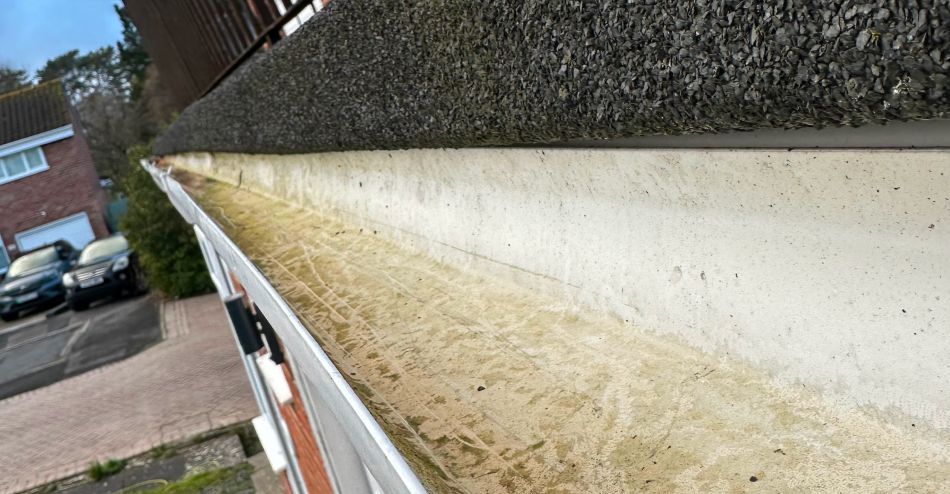 Gutter Cleaning in Chichester